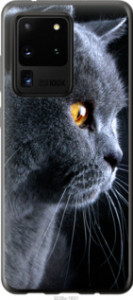 Чехол Красивый кот для Samsung Galaxy S20 Ultra
