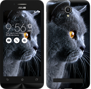 

Чехол Красивый кот для Asus ZenFone Go ZC451TG 242662