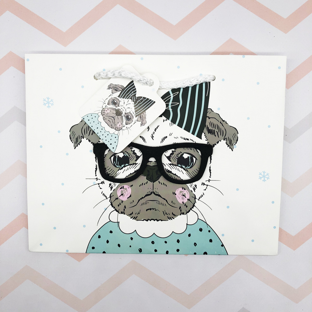 Подарочный пакет Pets with Glasses Mini