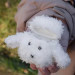 Фото Футляр Fluffy Dog для Apple AirPods 1/2 (White) на vchehle.ua