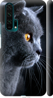 Чехол Красивый кот для Huawei Honor 20 Pro