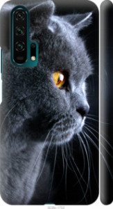 Чохол Гарний кіт на Huawei Honor 20 Pro