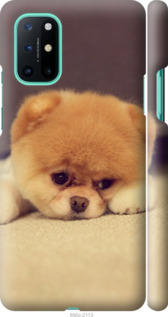 

Чохол Boo 2 на OnePlus 8T 1571499