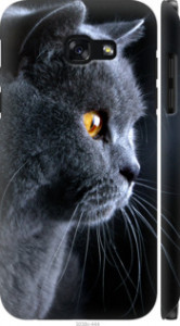 Чехол Красивый кот для Samsung Galaxy A5 (2017)