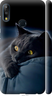 Чохол Димчастий кіт на Asus Zenfone Max Pro M2 ZB631KL