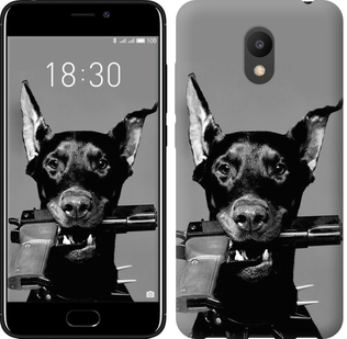 

Чехол Доберман для Meizu M6 604996