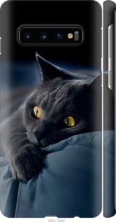 Чехол Дымчатый кот для Samsung Galaxy S10