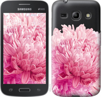 

Чехол Хризантема для Samsung Galaxy Core Plus G3500 844156