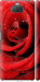 Чехол Красная роза для Sony Xperia 10 Plus I4213