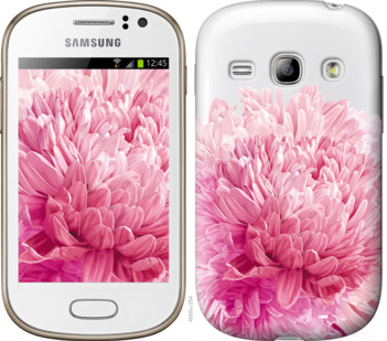 

Чохол Хризантема на Samsung Galaxy Fame S6810 844209
