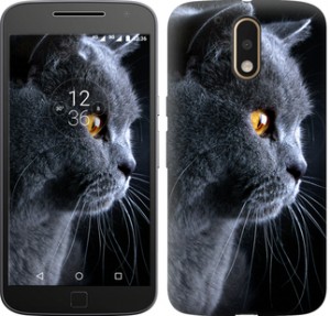 Чехол Красивый кот для Motorola Moto G4 / G4 Plus
