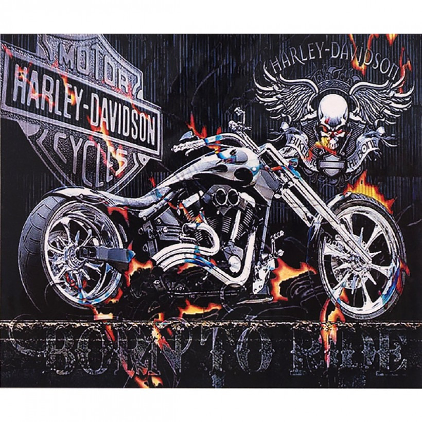 Алмазная мозаика "Harley-Davidson" 30*40 GM73809 (Разноцветный)