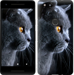 Чехол Красивый кот для Google Pixel 2