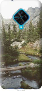 

Чехол Природа для Vivo V17 1592373