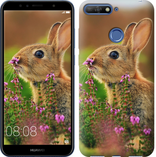 

Чохол Кролик і квіти на Huawei Y6 Prime 2018 677422