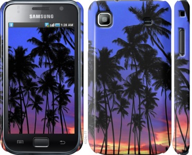 

Чехол Пальмы для Samsung Galaxy S i9000 758870