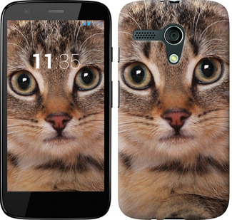 

Чохол Смугастий котик на Motorola Moto G 175826