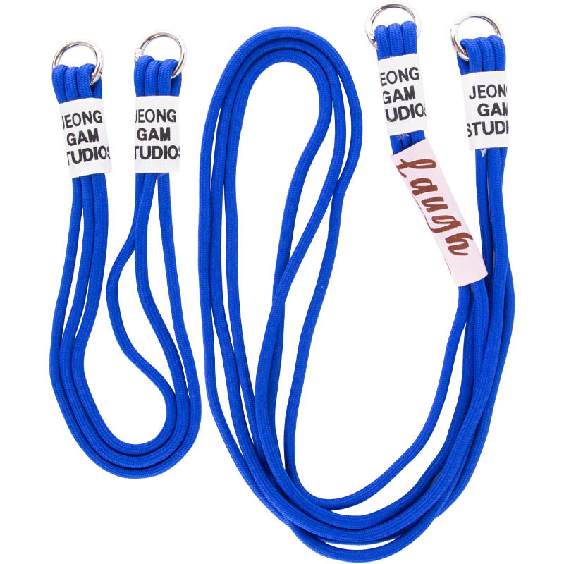 Купити Чохол TPU two straps California на Apple iPhone XR (6.1") (Синій / Iris) на vchehle.ua