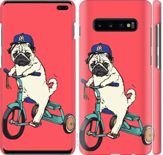 

Чехол Мопс на велосипеде для Samsung Galaxy S10 Plus 703028