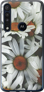 

Чехол Ромашки v2 для Motorola One Macro 1624470