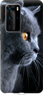 

Чехол Красивый кот для Huawei P40 Pro 931951