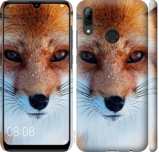 

Чехол Рыжая лисица для Huawei P Smart 2019 698626