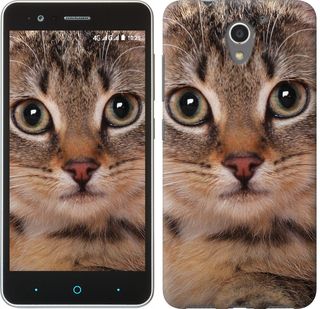 

Чехол Полосатый котик для ZTE A510 175908