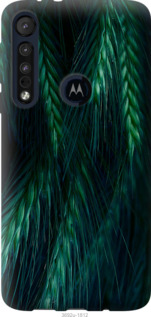 

Чехол Колоски для Motorola One Macro 1580162