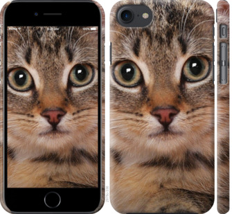 

Чохол Смугастий котик на iPhone SE 2020 915746