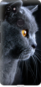 Чехол Красивый кот для Google PixeL 2 XL