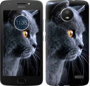 Чехол Красивый кот для Motorola Moto E4