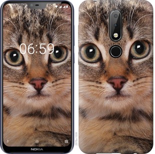 

Чохол Смугастий котик на Nokia 6.1 Plus 694173