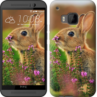 

Чохол Кролик і квіти на HTC One M9 304725