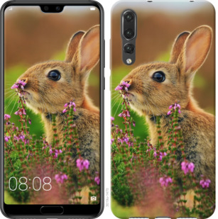 

Чохол Кролик і квіти на Vivo V15 pro 781399