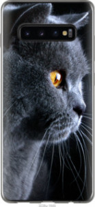 Чехол Красивый кот для Samsung Galaxy S10 Plus