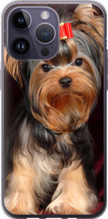 

Чохол Нарисованный йоркширский терьер для iPhone на iPhone 14 Pro Max 1634987