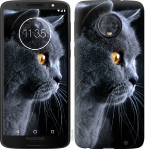 Чехол Красивый кот для Motorola Moto G6 Plus