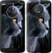 Чехол Красивый кот для Motorola Moto G6 Plus
