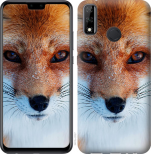 

Чохол Руда лисиця на Huawei Y8s 936422