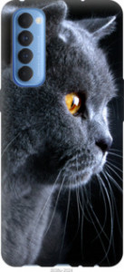 Чехол Красивый кот для Oppo Reno 4 Pro