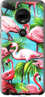 

Чехол Tropical background для Motorola Moto G7 Plus 702659