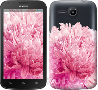

Чохол Хризантема на Huawei Ascend Y600 844597