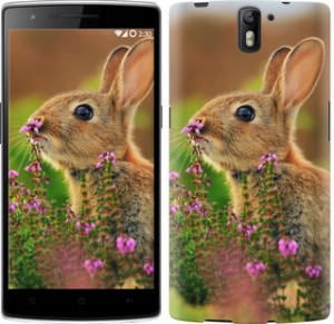 Чехол Кролик и цветы для OnePlus 1