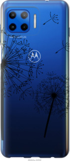 Чехол Одуванчики для Motorola Moto G Plus