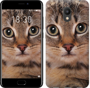 

Чехол Полосатый котик для Meizu M6 655427