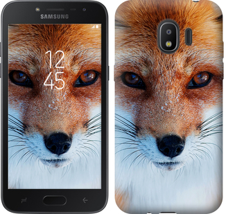 

Чохол Руда лисиця на Samsung Galaxy J2 2018 604609
