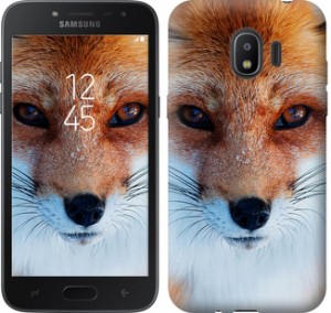 Чохол Руда лисиця на Samsung Galaxy J2 2018