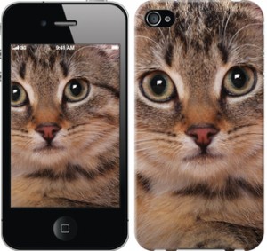 Чехол Полосатый котик для iPhone 4