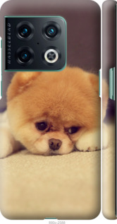 Чехол Boo 2 для OnePlus 10 Pro