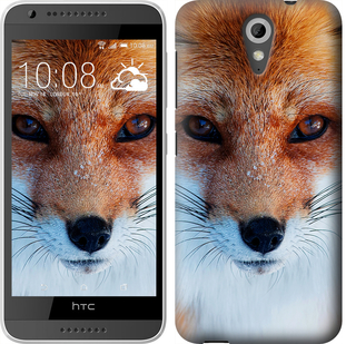 

Чохол Руда лисиця на HTC Desire 620 78595